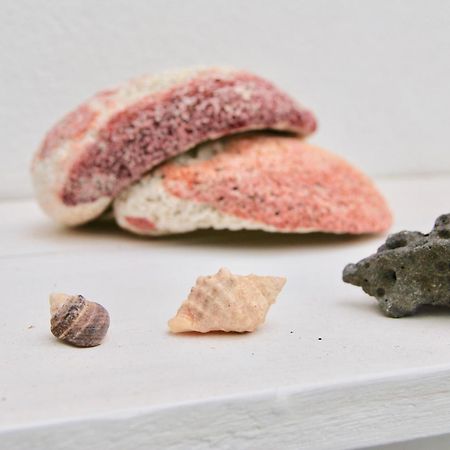 Cotillo Casa Yerida 아파트 외부 사진