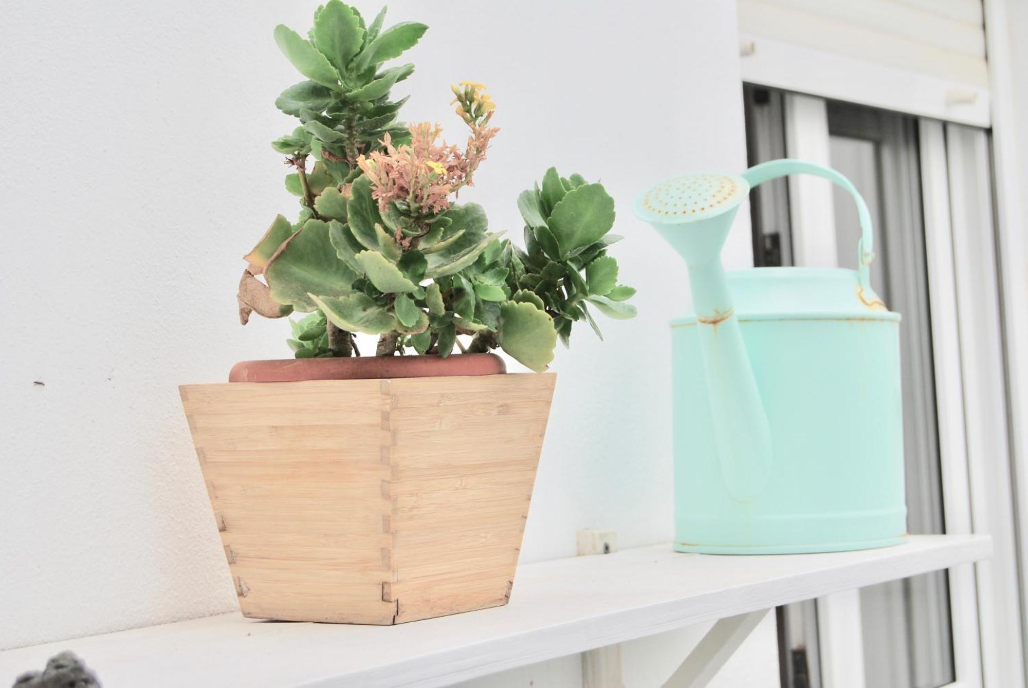 Cotillo Casa Yerida 아파트 외부 사진